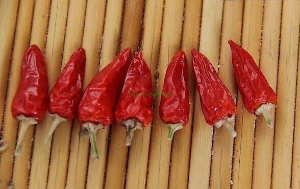Wrinkle With Stem Chilli